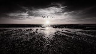 Badfish Sublime Cover  Michael Walls [upl. by Nylacaj86]