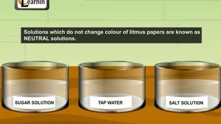 Natural Indicators explained with an experiment  Elementary Science [upl. by Oratnek]