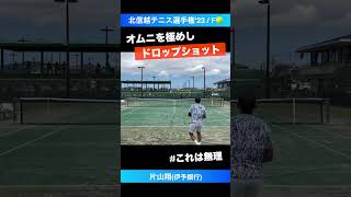 オムニを極めたドロップショット【北信越テニス選手権2023決勝戦】片山翔伊予銀行 shorts テニス tennis [upl. by Kathi73]