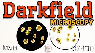 Dark field Microscopy paperpenbiology [upl. by Asia]