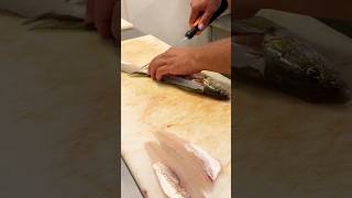 Nice filets fishing thecoloradoexperience devilslake walleye filet [upl. by Selrahc]