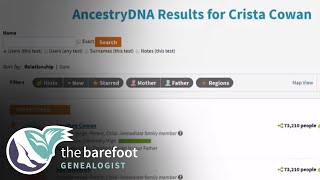 AncestryDNA  Mirror Trees  Ancestry [upl. by Ahcsrop622]