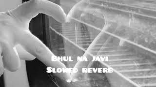 Bhul na javi lofi song  Slowed Reverb  Pav Dharia lofisuperhit44 😍✨🎧 [upl. by Pelpel286]