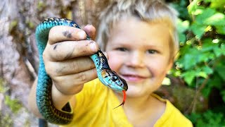 Catching and Eating Wild Snakes [upl. by Barabas]