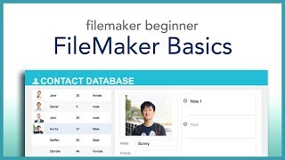 FileMaker Beginner Basics [upl. by Mackay]