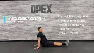 Reverse Plank Assessment [upl. by Ahsinwad]