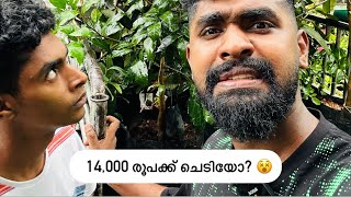 14000 രൂപക്ക് വീണ്ടും ചെടി വാങ്ങി ഉമ്മച്ചി  ചെടി Vlog  Family Vlogs  Hanan Shaah [upl. by Joan]