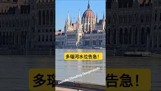 多瑙河洪水，沿岸告急 自由行 travel 旅行 旅游 多瑙河 [upl. by Hareemas]