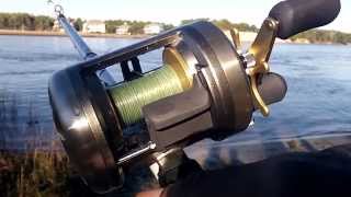 Shimano Cardiff 400A Fishing Review [upl. by Rolfe]