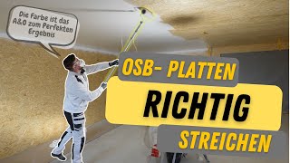 OSB richtig streichen MEGA Absperrgrund Wagner PP90 [upl. by Leahcam]