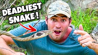 CATCHING ONE of the DEADLIEST VENOMOUS SNAKES IN AFRICA [upl. by Ttenaj]