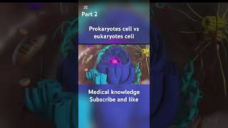 Prokaryotes cell vs eukaryotes cell biologyclass12 biology animation [upl. by Notsag]