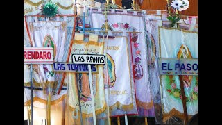 Peregrinación al Tepeyac 2019  Región Morelia  Grupo Las Ranas [upl. by Vashti12]