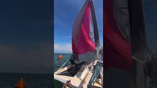 How To Mexican Gybe Douse on at Trimaran sailboatracing [upl. by Yak]