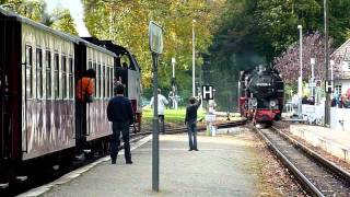 Zugkreuzung der Bäderbahn Molli in Heiligendamm [upl. by Dillie]