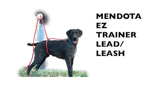 Mendota EZ Trainer LeadLeash [upl. by Emlyn]