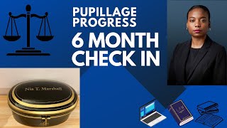 Pupillage Progress 6 Month Check In [upl. by Jarnagin718]