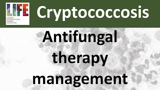 Cryptococcosis antifungal treatment management [upl. by Hayikat253]