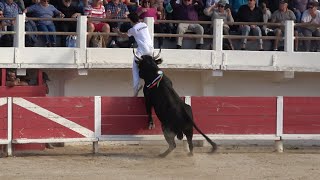 SAINTES MARIES DE LA MER FINALE TAÜ 231024 [upl. by Aimo156]