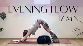 Evening Yoga Flow  After Work Slow Flow to move energy around [upl. by Enaz261]