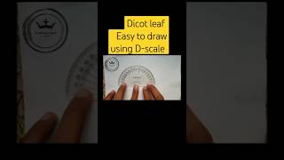 Dicot leaf easy to draw using Dscale uzairnadeemrajputdicotleafshort [upl. by Berstine951]