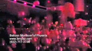 Phoenix Symphony New Years Eve 2010 5000 balloon drop short version [upl. by Leimaj]