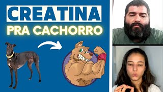 Creatina pra cachorro  Alimentação Natural  Corte da live com Vet Fernanda Figueiredo  14  23 [upl. by Lorine]