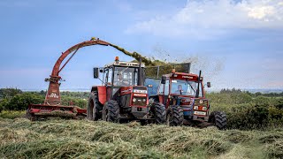 Silage 2024  Old School  Jf 900  Fiat 10090 amp Zetor 10245 [upl. by Atikir]