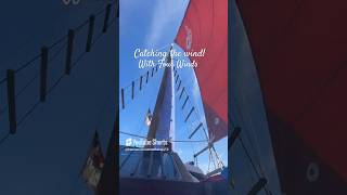 Sailing Desolation Sound oceanbird fourwinds allenfarrell lundboats shorts 1905Woodenboat [upl. by Chara691]