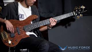 MusicForce Lakland US Custom 5594 Deluxe Demo by Bassist 최지호 JihoChoi [upl. by Lougheed664]