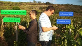 Furmint Adventures  Episode 11 Gizella Cellar [upl. by Mixam]