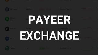 Payeer Withdrawal Germany  Payeer Exchange to PayPal  Payeer to PayPal Germany [upl. by Akiaki]