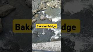 Bakalan Bridge at Marsolo Naga Zamboanga sibugay yutubeshorts subscribe bakalan [upl. by Nujra]