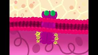 Cancer cell SignalsPi3k Pathway [upl. by Olen660]