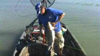 Bowfishing Highlight Clip 2 From 2008 [upl. by Greta]