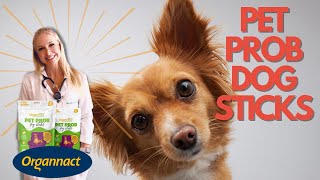 PET PROB DOG STICKS  Doutora Bruna Vet  Veterinária [upl. by Fredrick869]