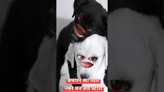 बचपन का प्यार😄😂song comedy dogs [upl. by Abita975]