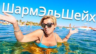 Египет 2024 МЫ ТАК ЭТОГО ЖДАЛИ Cataract Sharm Resort 4 Cataract Layalina 3 Шарм Эль Шейх 2024 [upl. by Schmeltzer]