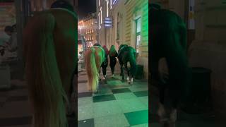 Horsewoman Lady Horse Raider 🐎 Russia 🇷🇺 Saint Petersburg horse shorts viralvideo russia [upl. by Niamor711]