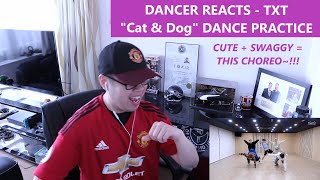 DANCER REACTS  TXT quotCat amp Dogquot Dance Practice REACTION 투모로우바이투게더 [upl. by Barabbas9]