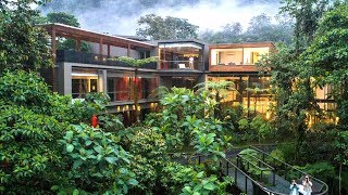 UN HOTEL DE 1500 DÓLARES POR NOCHE QUE ESTÁ SALVANDO EL BOSQUE ECUADOR  4K  enriquealex [upl. by Gisella362]