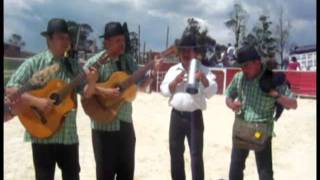 Grupo Variedades del Sur  Campesino Salsita [upl. by Gapin]