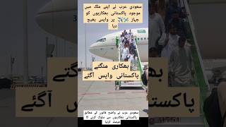 saudi arab laws for foreign pakistani beggar beggars saudiarabia shahbazsharif lawshortsyoutube [upl. by Marjie]