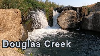 HIKING  Douglas Creek Falls  A Shady Desert Oasis [upl. by Dincolo517]