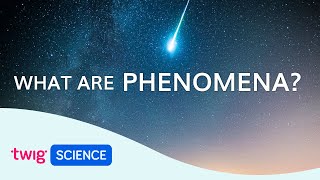 Phenomena Explained What is phenomenabased learning  Twig Science [upl. by Yleve23]