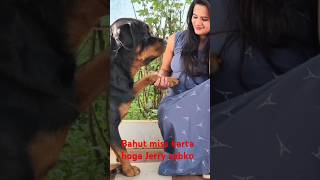 dog rottweiler petlover therott shorts beinganshu shortsfeed trending snapoygirls [upl. by Gustafsson]