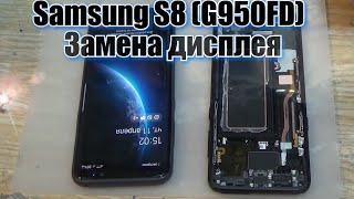 Samsung S8 G950FD разборка и замена дисплея с рамкой [upl. by Nroht]