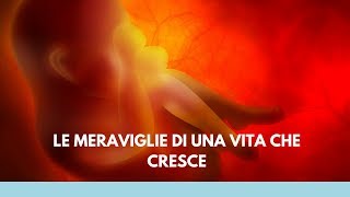 La Meraviglia Di Una Vita Che Cresce [upl. by Okikuy]