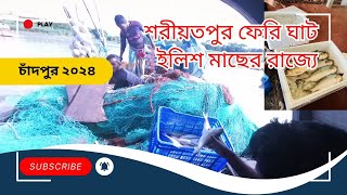 Hilsa Fish heave at Shariatpur Ferry Ghat  Chandpur [upl. by Saxet641]