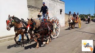 quotPasseggiata Folkloristica dei Cavalliquot 2023 [upl. by Eppesiug719]